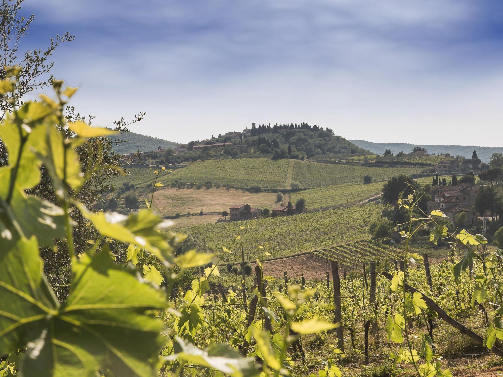 Relais Santa Cristina Guest House Radda in Chianti Exterior photo