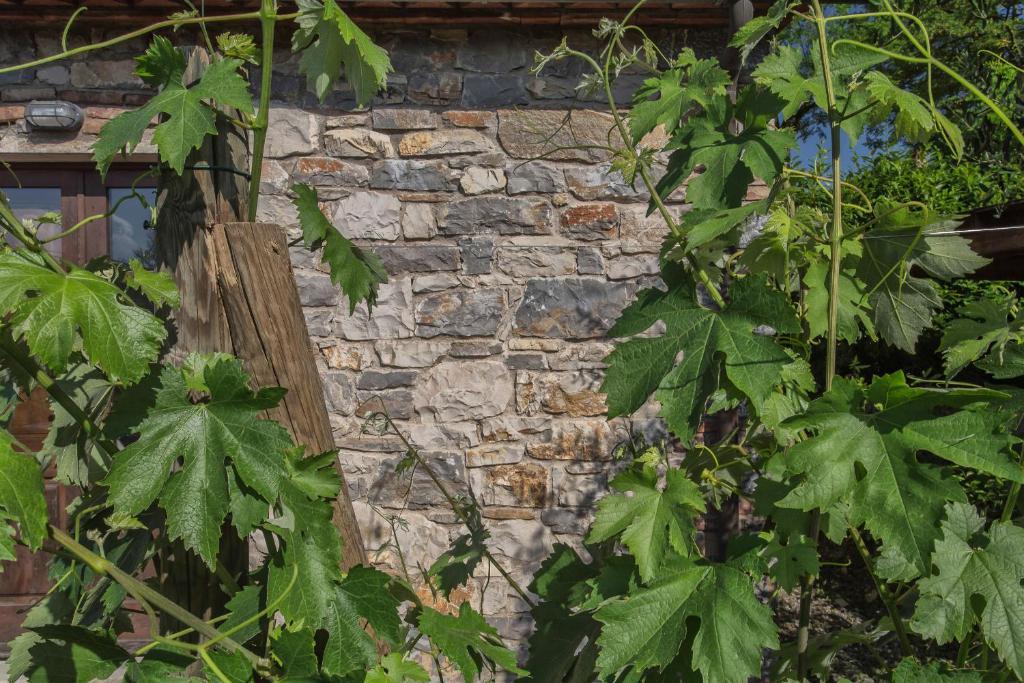 Relais Santa Cristina Guest House Radda in Chianti Exterior photo