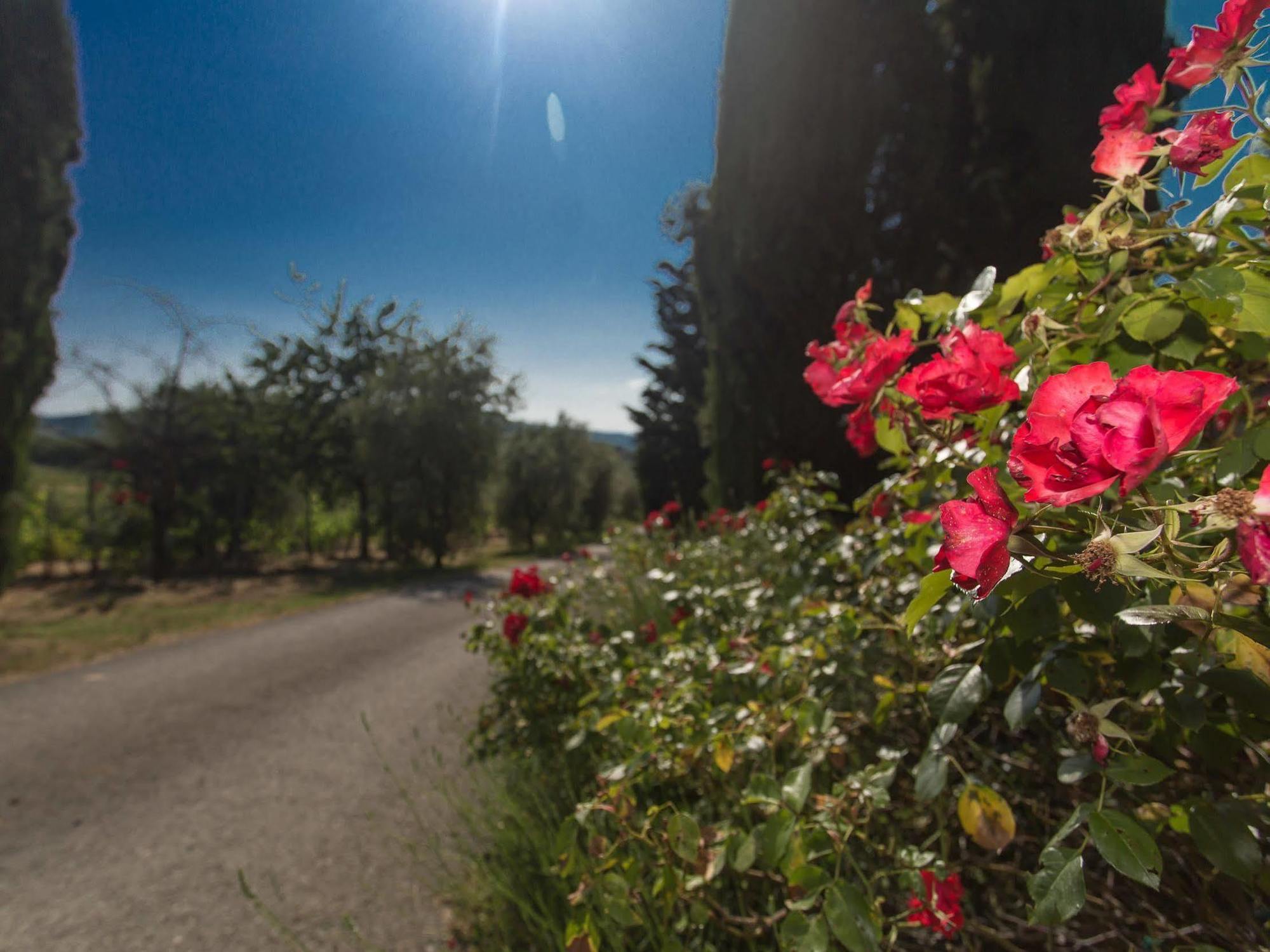 Relais Santa Cristina Guest House Radda in Chianti Exterior photo
